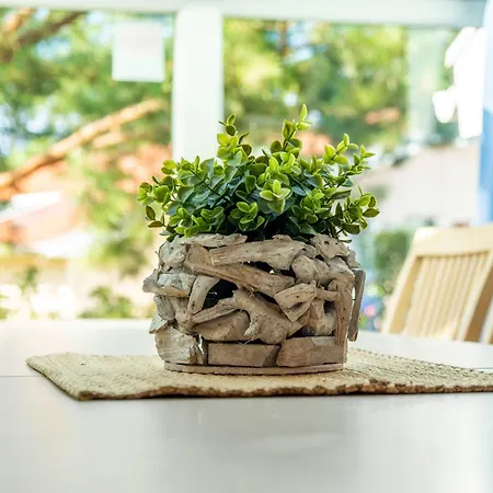 Strandblick - Dorf 1 09 Priwall